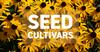 THE PLUG© - Week 4720: Seed Cultivars
