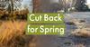 THE PLUG© - Week 0921: Spring Cutbacks