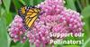 THE PLUG© - Week 2022: Support our Pollinators
