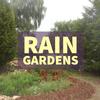 THE PLUG© - Week 1323: Get Started with Rain Gardens