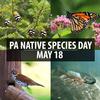 THE PLUG© - Week 2023: Celebrate PA Native Species Day