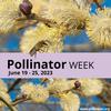 THE PLUG© - Week 2523: Share How You Support Pollinators
