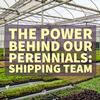 THE PLUG© - Week 3123: The Power Behind our Perennials: Shipping Team