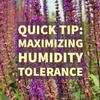 THE PLUG© - Week 3223: Quick Tip: Maximizing Humidity Tolerance