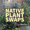 THE PLUG© - Week 3423: Native Plant Swaps for Fall Containers