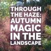 THE PLUG© - Week 3623: Through the Haze: Autumn Magic in the Landscape