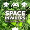 THE PLUG© - Week 3923: Space Invaders: Sweet Autumn Clematis