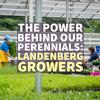 THE PLUG©—Week 4623: The Power Behind our Perennials, Landenberg Growers
