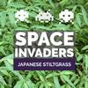 THE PLUG©—Week 4923: Space Invaders: Japanese Stiltgrass