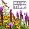 THE PLUG©—Week 0524: Layering Bloom Time