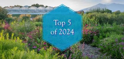 Top 5 Plant Genera of 2024