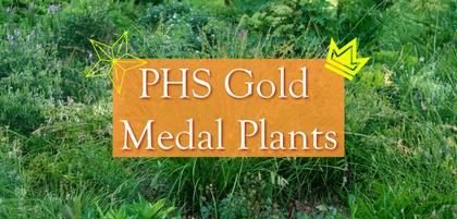 PHS Gold Medal Plants 2025
