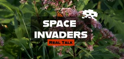 Real Talk: Space Invaders