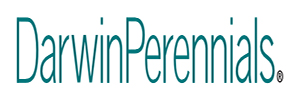 Darwin Perennials