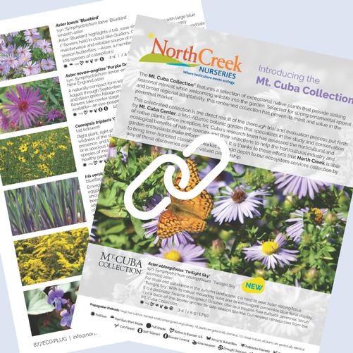 Resources and Links