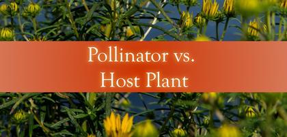 Pollinator vs. Host Plant