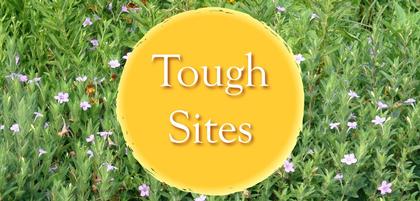 Tough Sites