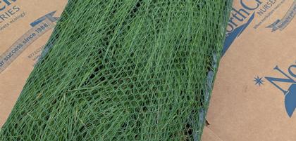 Cellulose Netting