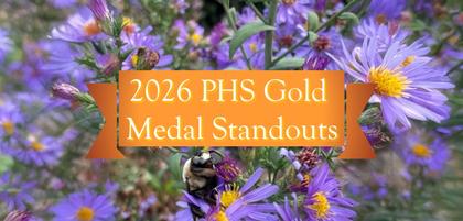 2026 PHS Gold Medal Standouts