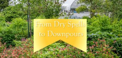 From Dry Spells to Downpours