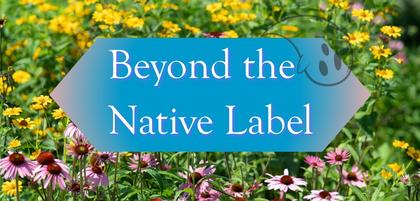 Beyond the Native Label