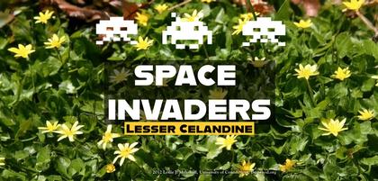 Spring Blooms or Invaders?