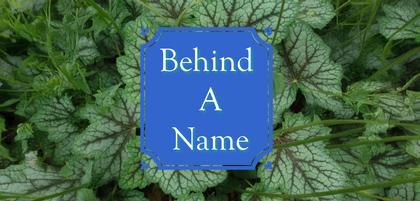 Behind A Name