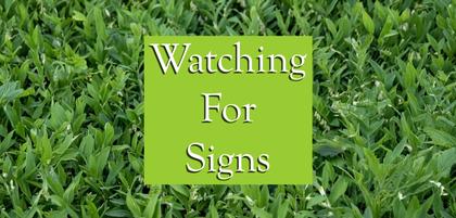 Watching for Signs