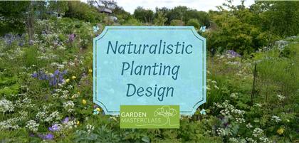 Naturalistic Planting Design Course