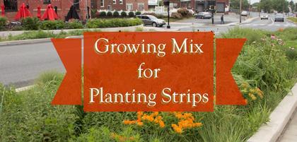 Growing Mix for Planting Strips