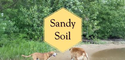 Sandy Soil