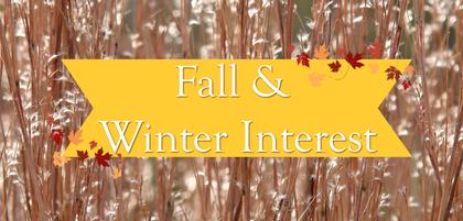 Fall & Winter Interest