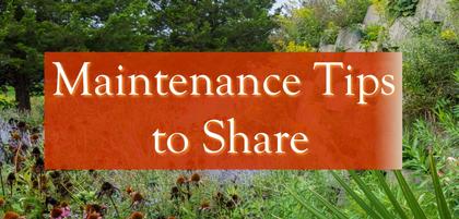 Maintenance Tips to Share