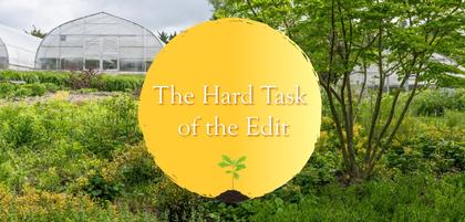 The Hard Task of the Edit