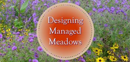 Designing Managed Meadows