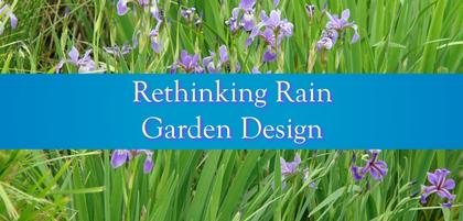 Rethinking Rain Garden Design