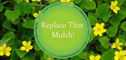 Replace That Mulch