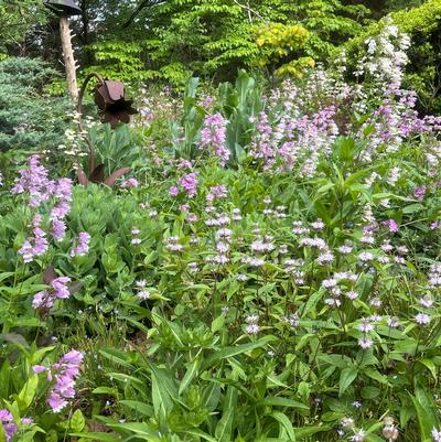 Image courtesy of GroWild, Inc.