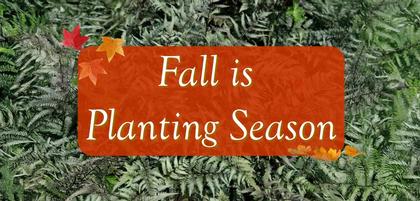 Fall is Planting Season!