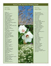 North Creek Nurseries Planting Guide: Species by Light and Soil Requirements