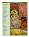 North Creek Nurseries Planting Guide: Fall & Winter Interest