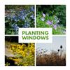 THE PLUG© - Week 3219: Planting Windows