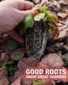 THE PLUG© - Week 4820: Good roots, dormant plants