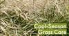 THE PLUG© - Week 1121: Cool Season Grass Cutbacks