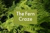 THE PLUG© - Week 3821: Fern Craze!