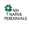 NH - New Hampshire Native Perennials