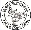 NC - Uwharrie Mountain Native Plant Farm