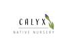 PA - Calyx Native Nursery