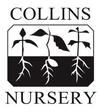 PA - Collins Nursery