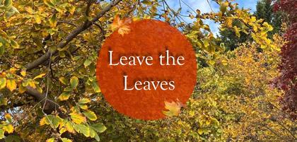 Leave the Leaves